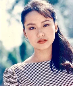 The Timeless Beauty of Vietnamese Actress Hong Anh at 47: A Journey of Grace and Cinematic Excellence - image 0