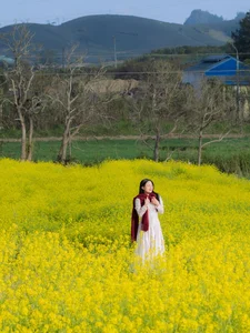 Discover the Breathtaking Yellow Mustard Fields of Moc Chau: A Complete Guide to Spring Travel in Vietnam - image 7