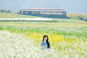 Discover the Breathtaking Yellow Mustard Fields of Moc Chau: A Complete Guide to Spring Travel in Vietnam - image 0