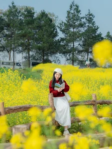 Discover the Breathtaking Yellow Mustard Fields of Moc Chau: A Complete Guide to Spring Travel in Vietnam - image 10