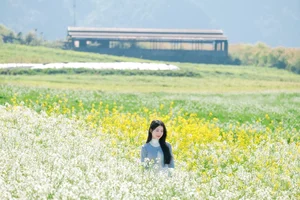 Discover the Breathtaking Yellow Mustard Fields of Moc Chau: A Complete Guide to Spring Travel in Vietnam - image 4