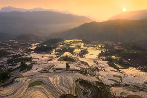 Discover Y Ty Watering Season: Comparing Vietravel and Vietnam Booking for Your Northern Vietnam Adventure - image 2