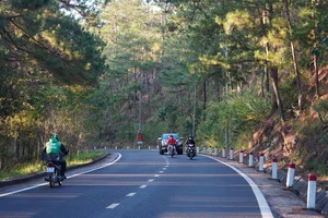 Ultimate Lam Dong Travel Guide: Discover Da Lat and Beyond - image 1