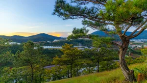 Ultimate Lam Dong Travel Guide: Discover Da Lat and Beyond - image 0