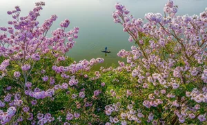 Ultimate Lam Dong Travel Guide: Discover Da Lat and Beyond - image 8