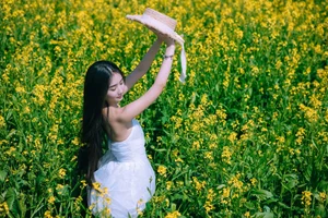 YiTuYu Art Language Vol.4426: Artistic Synergy with Yi Yu He Bao Dan - image 13