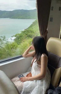 Why the Hue-Da Nang Heritage Train is Captivating Travelers Worldwide - image 5