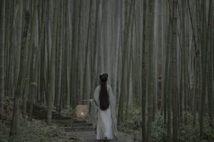Elegant Art Photography: YiTuYu Art Language Vol.4637 featuring Lin Aki Nai - image 1