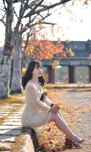 Serene Autumn Girl Portrait Captivating Beauty Amidst Golden Leaves - image 1