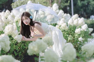 Elegant Visuals in YiTuYu Art Language Vol.7469 with Model Yu Er - image 6