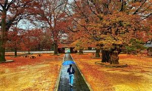 A Rare Glimpse into North Korea: Memories of a Traveler - image 0