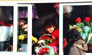 A Rare Glimpse into North Korea: Memories of a Traveler - image 6