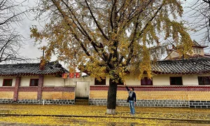 A Rare Glimpse into North Korea: Memories of a Traveler - image 1