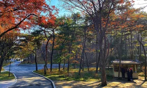 A Rare Glimpse into North Korea: Memories of a Traveler - image 7