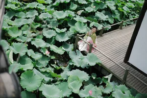 Captivating Visuals from YiTuYu Art Language Vol.5717 Li Yue Art Gallery - image 10