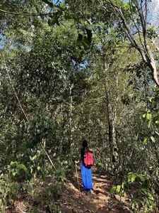 Trekking Bu Gia Map National Park: Discover the Surreal Natural Beauty of Vietnam's Hidden Gem - image 4