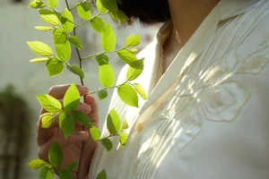 Captivating Visuals: YiTuYu Art Language Vol.10307 Featuring Mi Fan - image 7