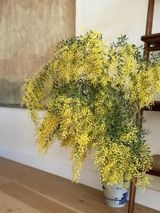 Dreamy Garden Inspiration: A Tour of Artist Hong Dao’s Picturesque Home and Floral Paradise - image 4