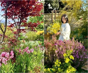 Dreamy Garden Inspiration: A Tour of Artist Hong Dao’s Picturesque Home and Floral Paradise - image 9