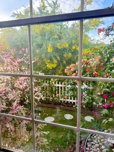 Dreamy Garden Inspiration: A Tour of Artist Hong Dao’s Picturesque Home and Floral Paradise - image 6