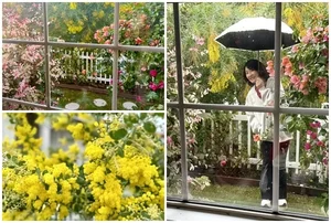 Dreamy Garden Inspiration: A Tour of Artist Hong Dao’s Picturesque Home and Floral Paradise - image 11