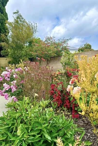 Dreamy Garden Inspiration: A Tour of Artist Hong Dao’s Picturesque Home and Floral Paradise - image 7