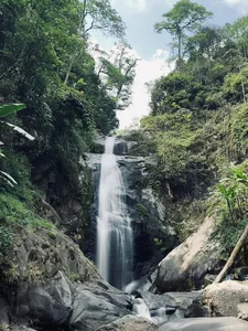 Escape to Ta Xua: A Refreshing Summer Retreat Above the Clouds - image 8
