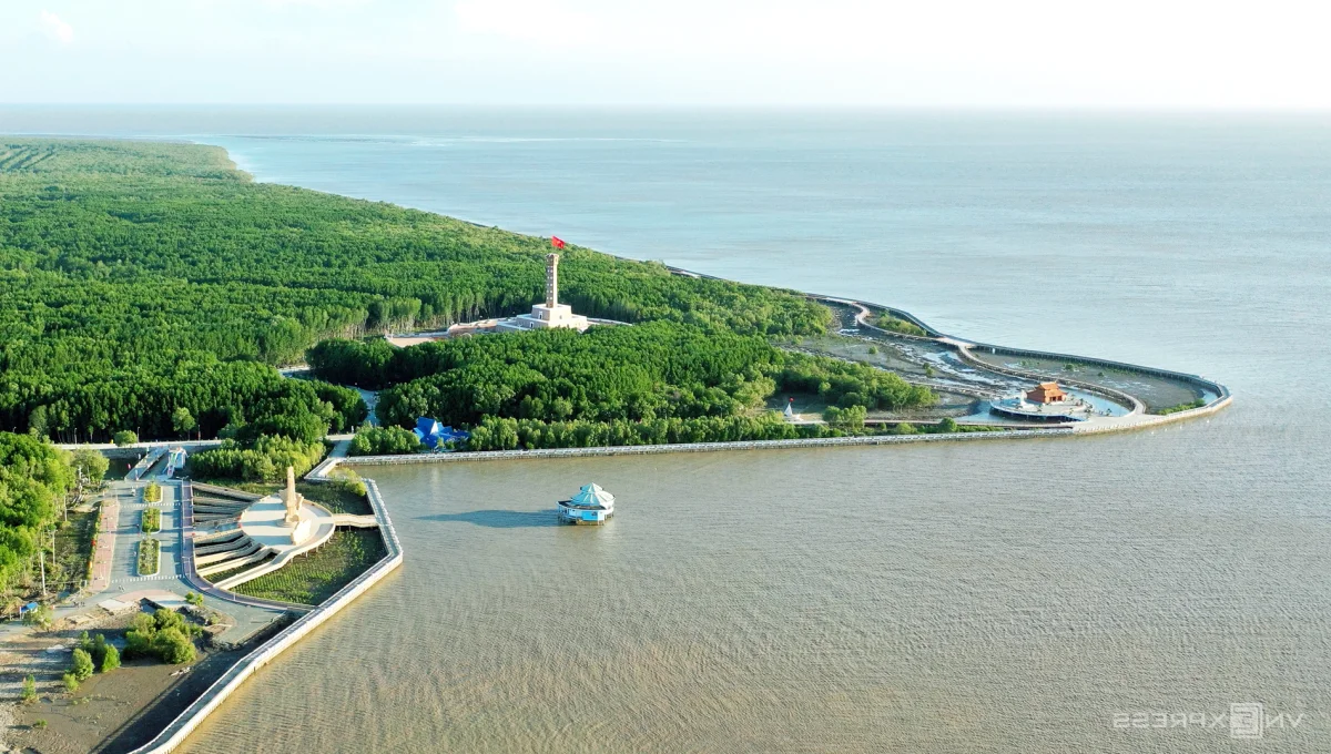 Canoe Adventures Through the Majestic Mangrove Forests of Dat Mui
