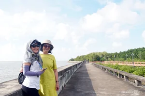 Canoe Adventures Through the Majestic Mangrove Forests of Dat Mui - image 2