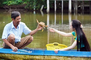 Canoe Adventures Through the Majestic Mangrove Forests of Dat Mui - image 6