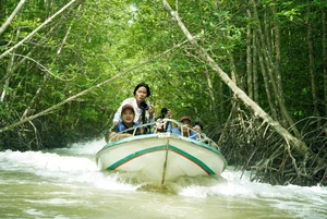Canoe Adventures Through the Majestic Mangrove Forests of Dat Mui - image 1
