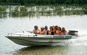 Canoe Adventures Through the Majestic Mangrove Forests of Dat Mui - image 7