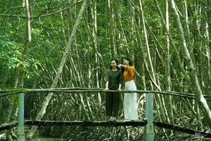 Canoe Adventures Through the Majestic Mangrove Forests of Dat Mui - image 10