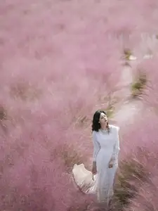 Enyyyn's Dreamy Escape in a Pink Grass Field – YiTuYu Vol.8630 - image 1