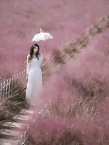Enyyyn's Dreamy Escape in a Pink Grass Field – YiTuYu Vol.8630 - image 19