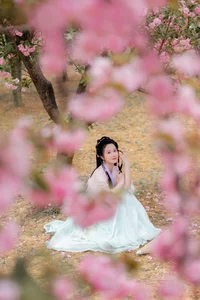 Timeless Elegance: YiTuYu Art Language Vol.7042 Zhou Mi Fan - image 9