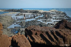Unveiling Ganh Da Do: The Hidden Red Rock Gem of Quang Ngai for Adventurous Travelers - image 5