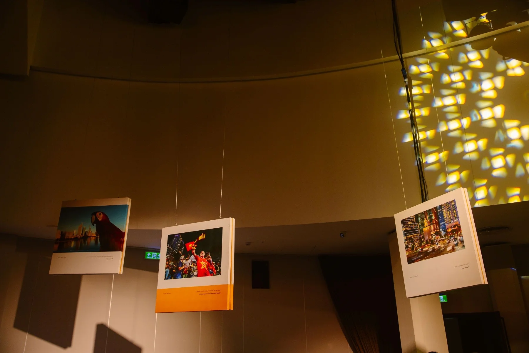 Khanh Van and Ky Duyen Shine Alongside Vietnamese Stars at Immersive Multi-Sensory Art Exhibition