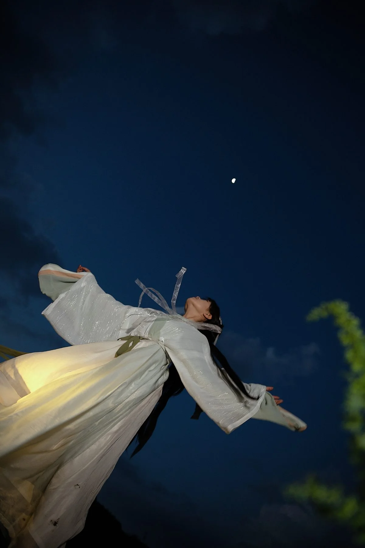 Visual Storytelling with Cai Xiao Hu in YiTuYu Art Language Vol.4849