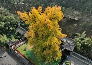 Top China Autumn Destinations Attracting International Tourists - image 3
