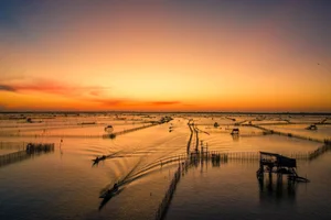 A Photographer's Guide to the Magical Dawn at Tam Giang Lagoon - image 0