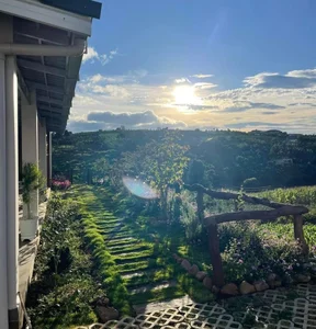 Inside a Stunning 2,000sqm Garden Sanctuary: A Singer’s Peaceful Retreat Far from the City - image 7