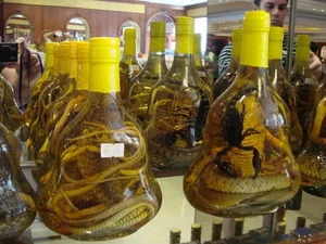 Exotic Snake Cuisines Around the World and Vietnam’s Unique Culinary Traditions - image 9