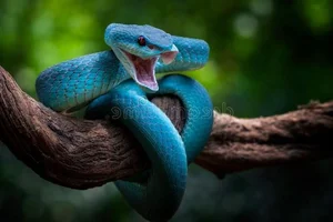 Exotic Snake Cuisines Around the World and Vietnam’s Unique Culinary Traditions - image 6