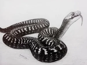Exotic Snake Cuisines Around the World and Vietnam’s Unique Culinary Traditions - image 3