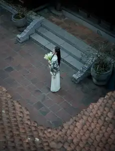 Graceful Vietnamese Woman in Ao Dai Amidst Ancient Architecture - image 7