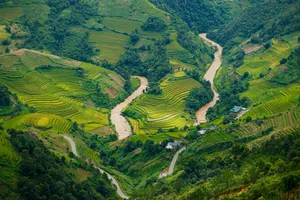 10 Best Check-in Spots in Mu Cang Chai Rice Season - image 9