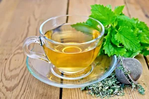 3 Best Edible Indoor Plants to Repel Mosquitoes and Enhance Your Cooking - image 1