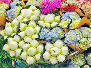 Discover the Flavors of Hanoi: Must-Try Autumn Specialties for Travelers - image 4