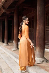 Timeless Grace: Amber Ao Dai in Ancient Architecture - image 2